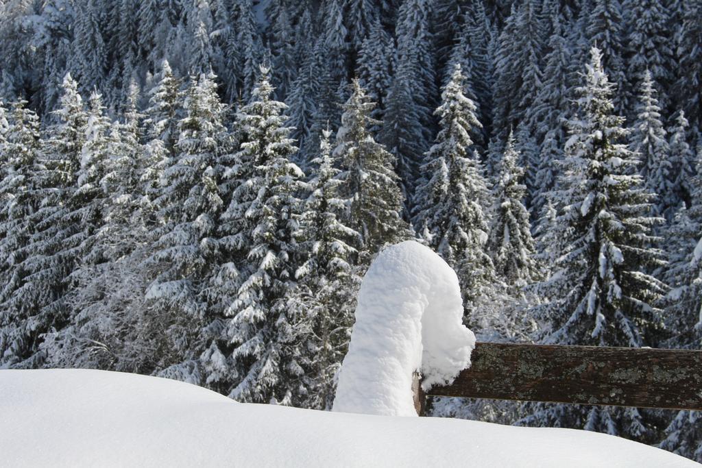 Bad Bergfallerhof Olang Luaran gambar